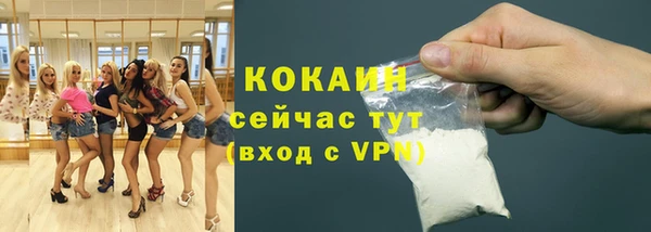 mdpv Протвино